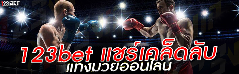 123bet แชร์เคล็ดลับ แทงมวยออนไลน์